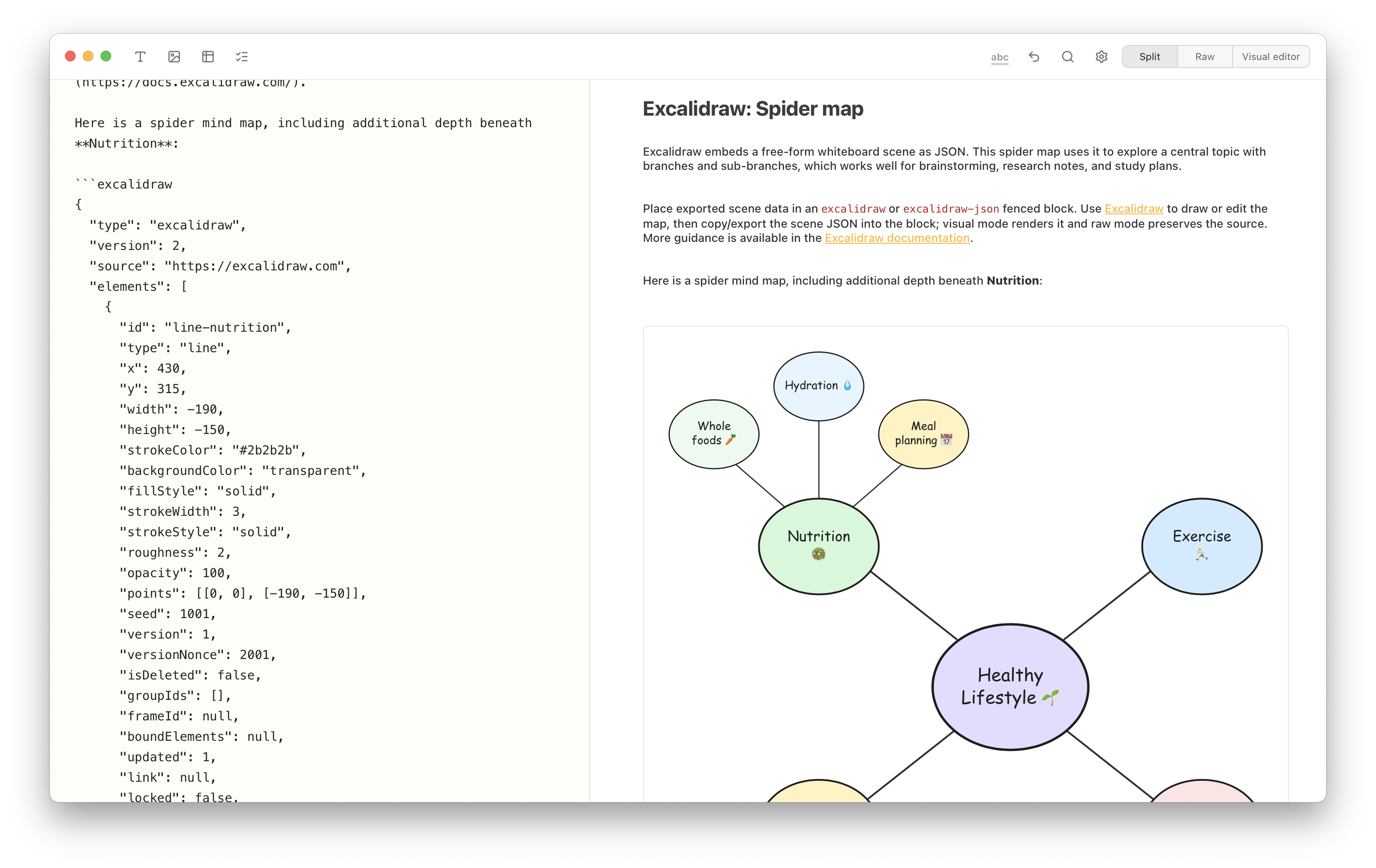Notes Plus in split view showing Excalidraw JSON and a colorful spider map for a healthy lifestyle.